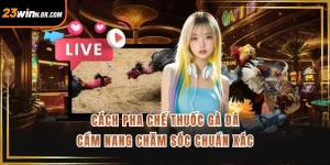 Cách Pha Chế Thuốc Gà Đá - Cẩm Nang Chăm Sóc Chuẩn Xác