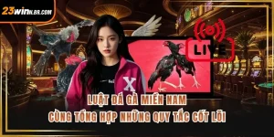 Luật Đá Gà Miền Nam Cùng Tổng Hợp Những Quy Tắc Cốt Lõi